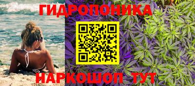 индика Кумертау