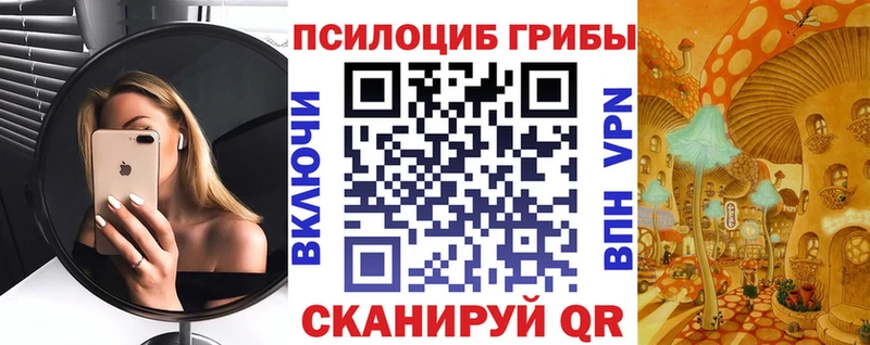 Псилоцибиновые грибы Psilocybine cubensis  Урус-Мартан 