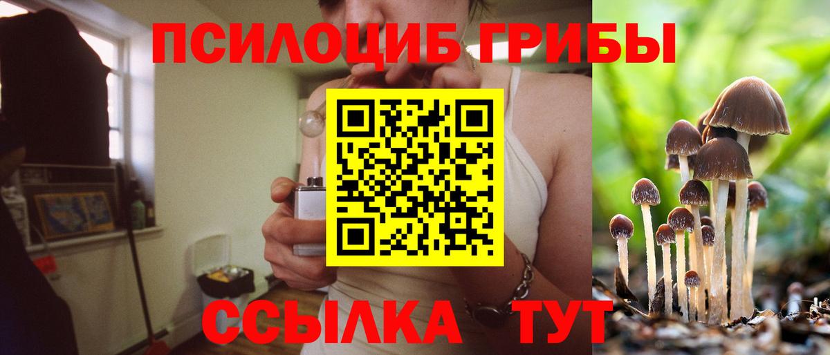 Галлюциногенные грибы ЛСД  Вход с VPN  Урус-Мартан  Галлюциногенные грибы Cubensis 
